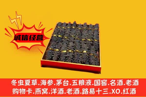 武威市民勤回收海参